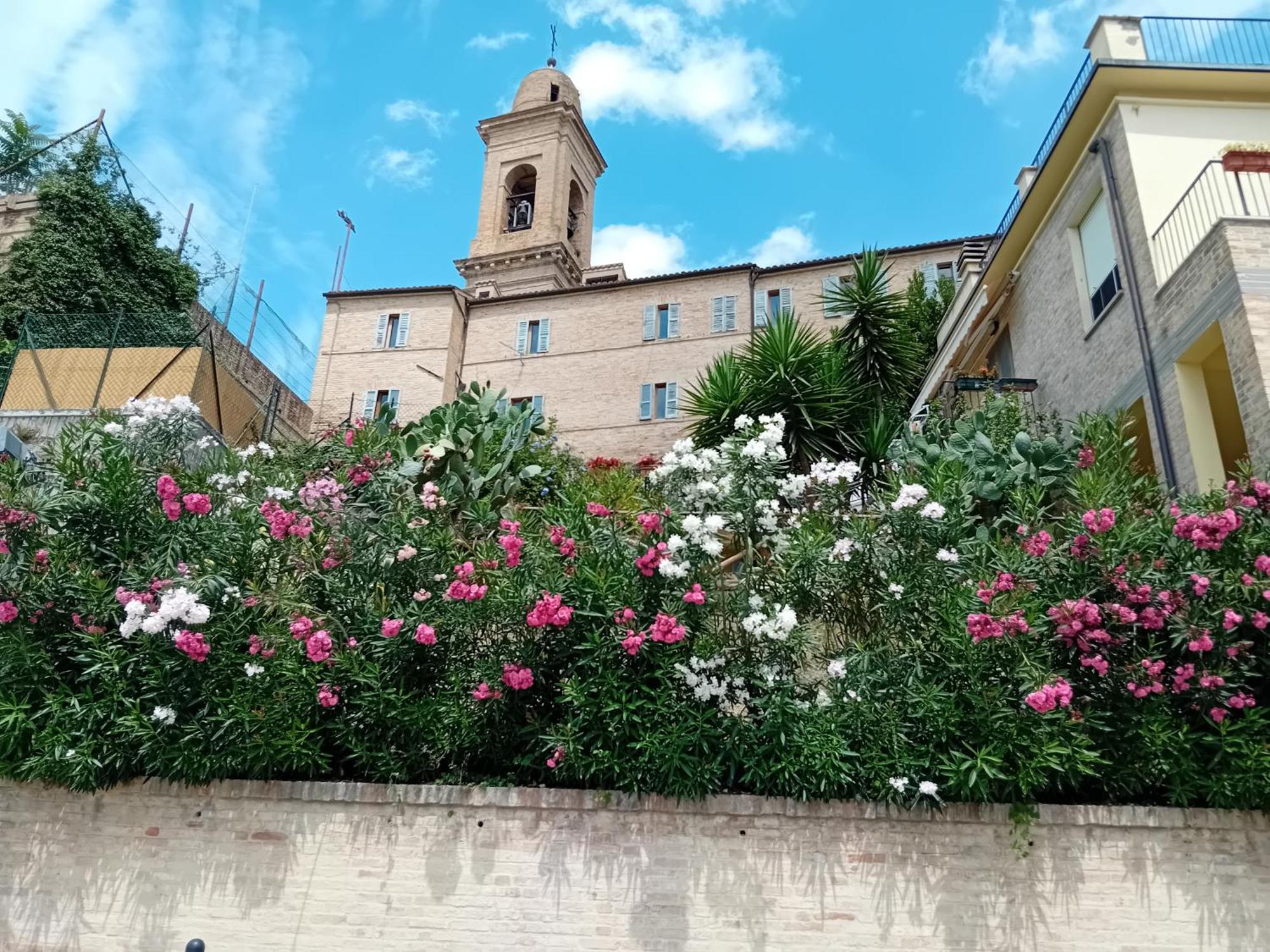 B&B Il Girasole Corridonia Zewnętrze zdjęcie